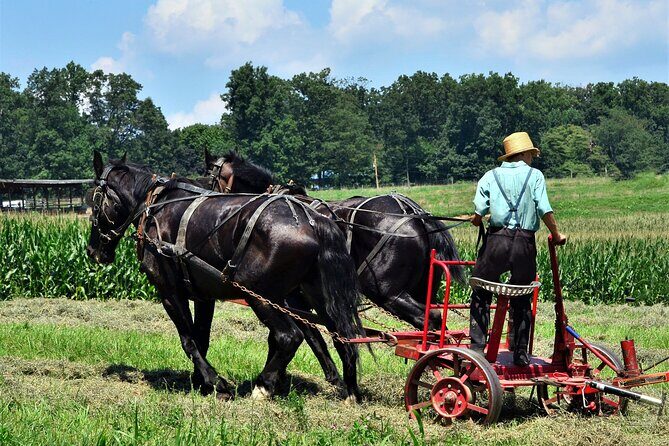 Amish Farmlands Tour - Authenticity and Authentic Experiences