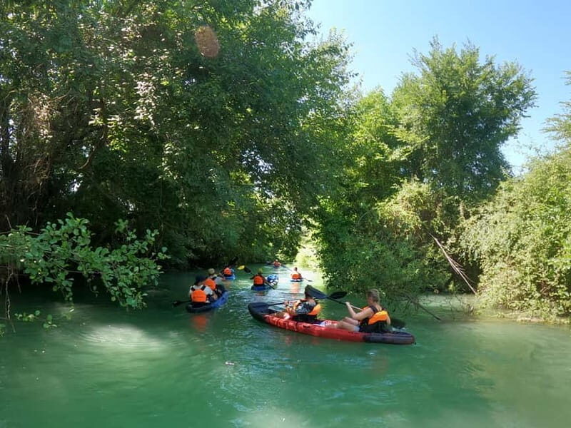 Ammoudia: Kayak down the Acheron 5.5 km - An In-Depth Look at the Kayak Experience