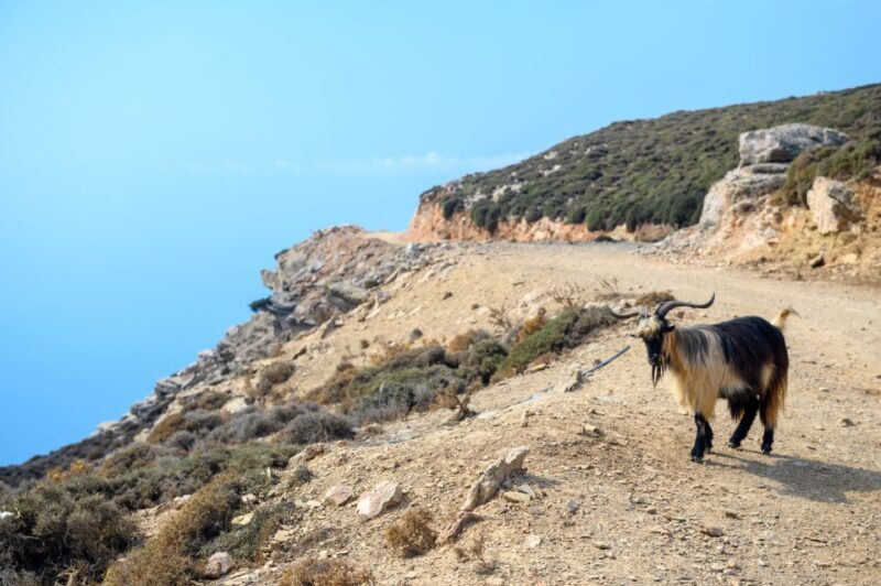Amorgos: Guided Hike of the Panagia Hozoviotissa Monastery - The Village of Asfondilitis