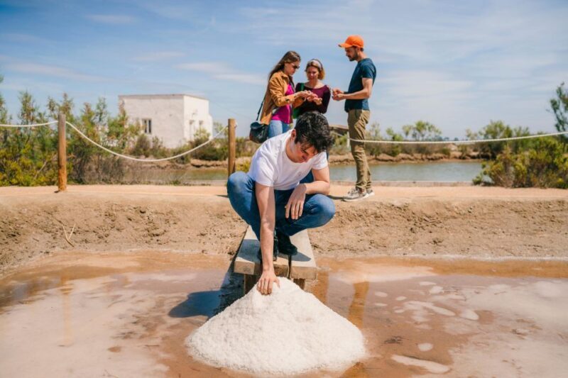 Amposta: MónNatura Delta de l'Ebre Entrance Ticket - The Experience From a Traveler’s Perspective