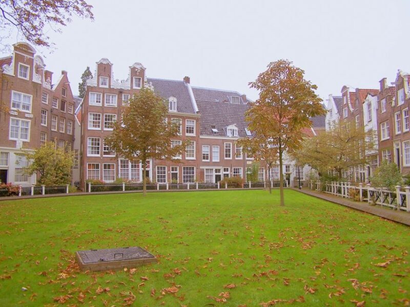 Amsterdam 1-Hour Rickshaw Tour - Key Points