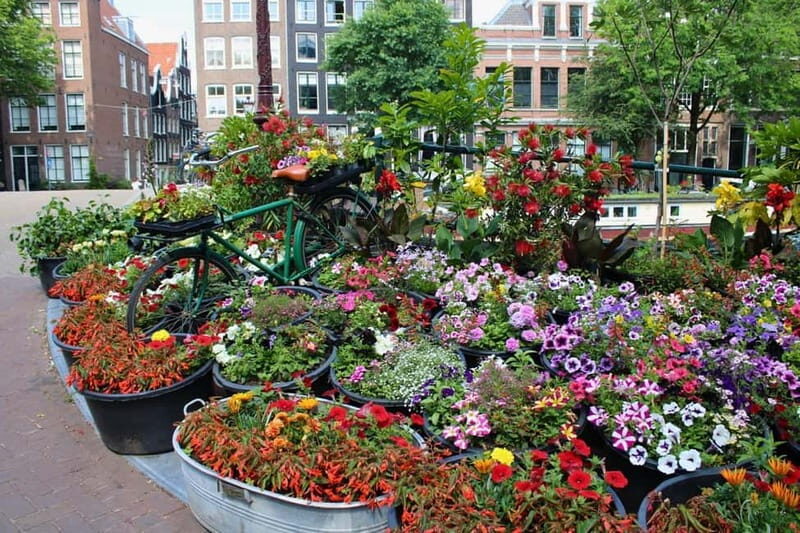 Amsterdam: 1,5-hour Interactive Kids Tour in the City - Is This Tour Right for You?