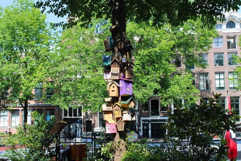 Amsterdam: 1,5-hour Interactive Kids Tour in the City - FAQ