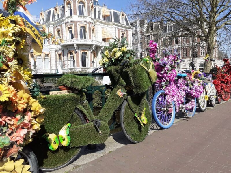 Amsterdam: 3-Hour Private Bike Tour of the City Center - The Sum Up
