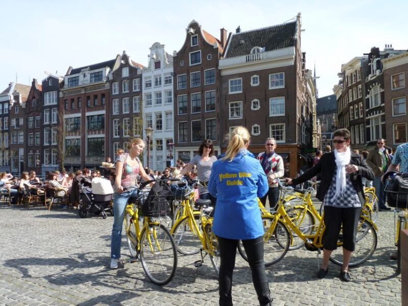 Amsterdam: 3h E-Bike Tour with break - Who Is This Tour Best For?