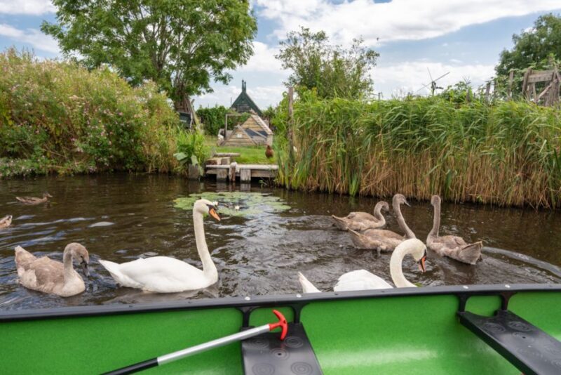 Amsterdam 5-Hour Guided Canoe Trip in the Wetlands - FAQ