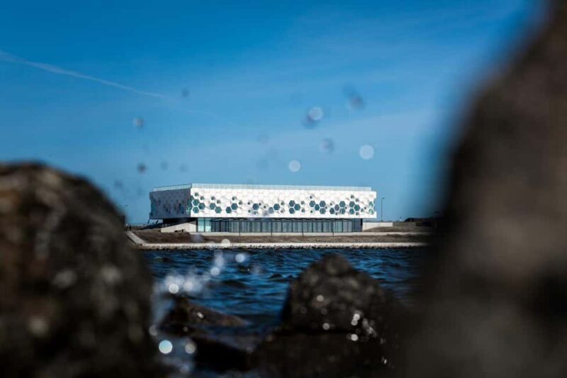 Amsterdam: Afsluitdijk and Wadden Center Museum Private Tour - What Makes This Tour Stand Out?