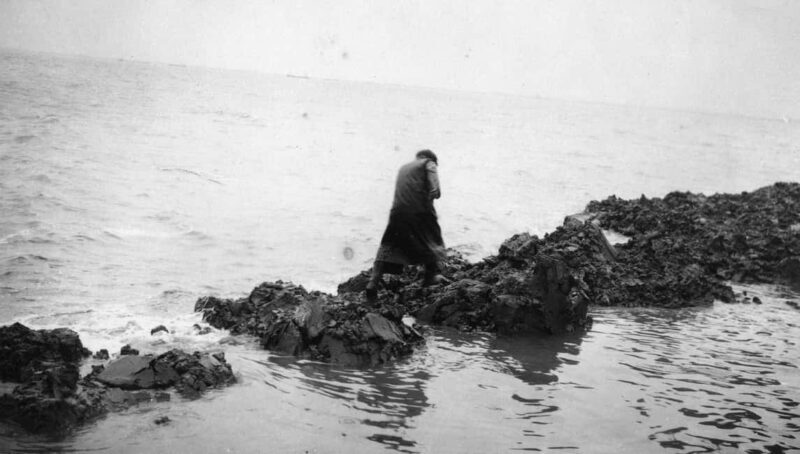 Amsterdam: Afsluitdijk and Wadden Center Museum Private Tour - Final Thoughts