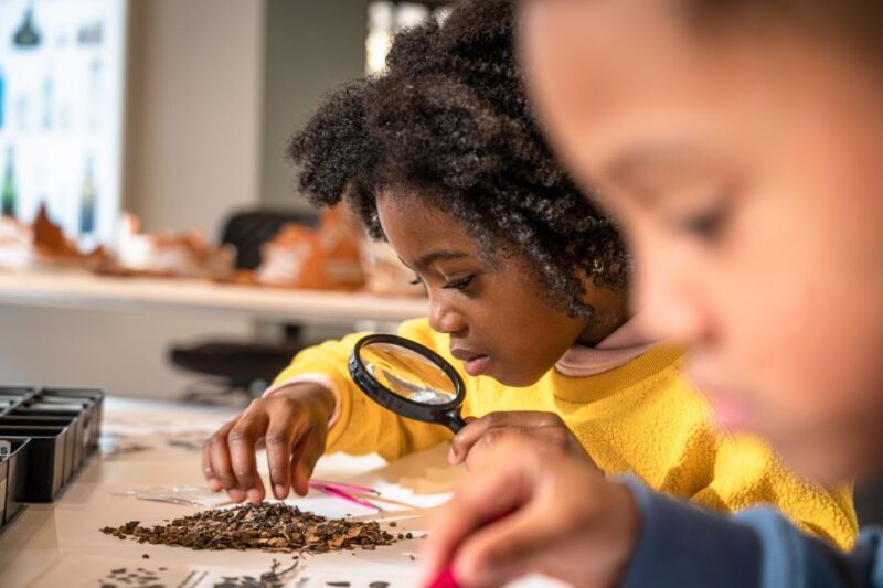 Amsterdam: Allard Pierson Heritage Collections Entry Ticket - FAQs