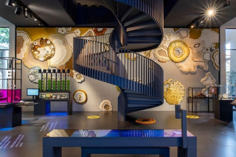 Amsterdam: ARTIS-Micropia Microbe Museum Entry Ticket - A Deep Dive into ARTIS-Micropia