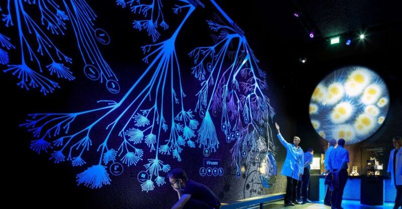 Amsterdam: ARTIS-Micropia Microbe Museum Entry Ticket - Frequently Asked Questions