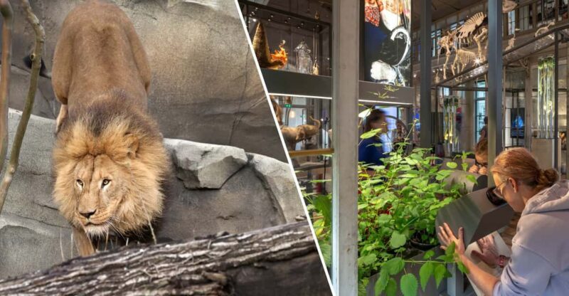 Amsterdam: ARTIS Royal Zoo and ARTIS Groote Museum Ticket - An In-Depth Look at the Experience