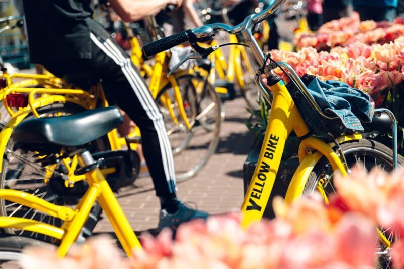 Amsterdam: Bike Rental - The Experience: Balancing Convenience and Authenticity