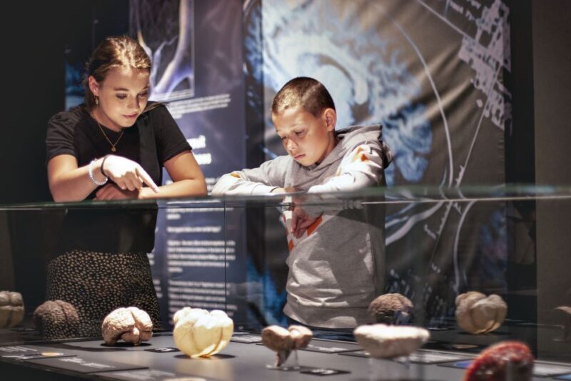 Amsterdam: Body Worlds Exhibition and Canal Cruise - Final Thoughts