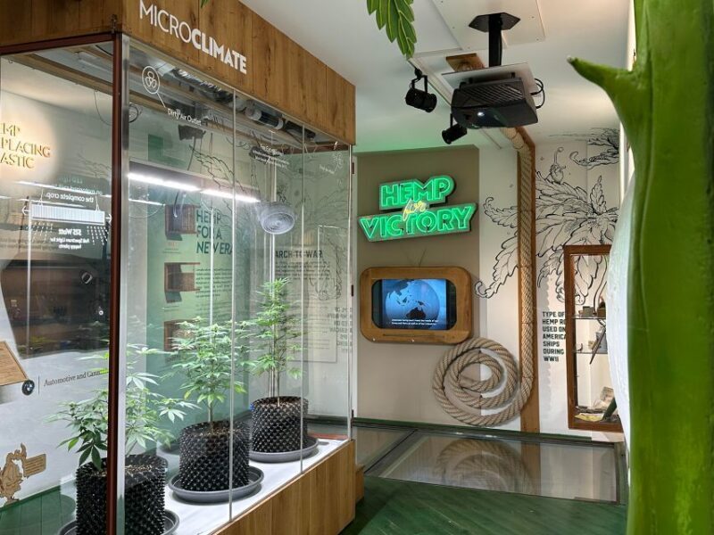 Amsterdam: Cannabis Museum Entry Ticket - Authentic Insights from Visitors