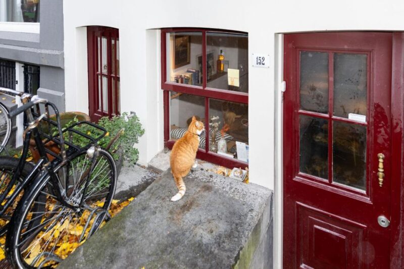 Amsterdam Central Walking Tour - An In-Depth Look at the Amsterdam Central Walking Tour