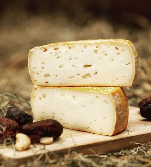 Amsterdam: Cheese Tasting, Windmill & Countryside Bike Tour - FAQ