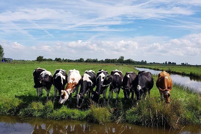 Amsterdam City & Countryside Tour: The Best of both Worlds - FAQ