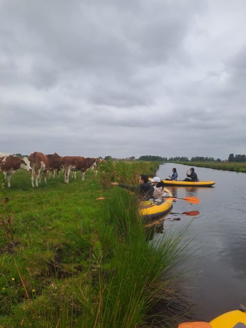 Amsterdam: Countryside Bike and Kayak Guided Tour - Key Points