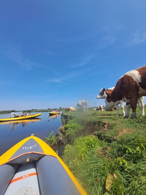 Amsterdam: Countryside Bike and Kayak Guided Tour - The Sum Up