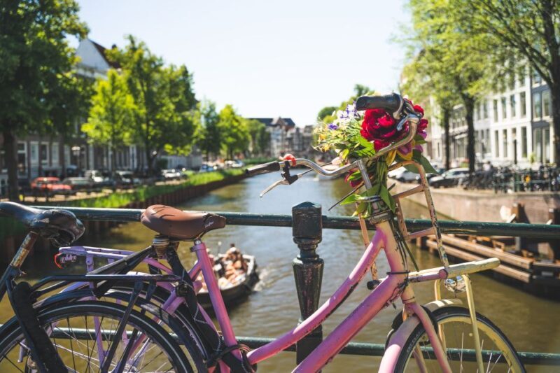 Amsterdam: Countryside Bike Tour - Who Will Love This Tour?