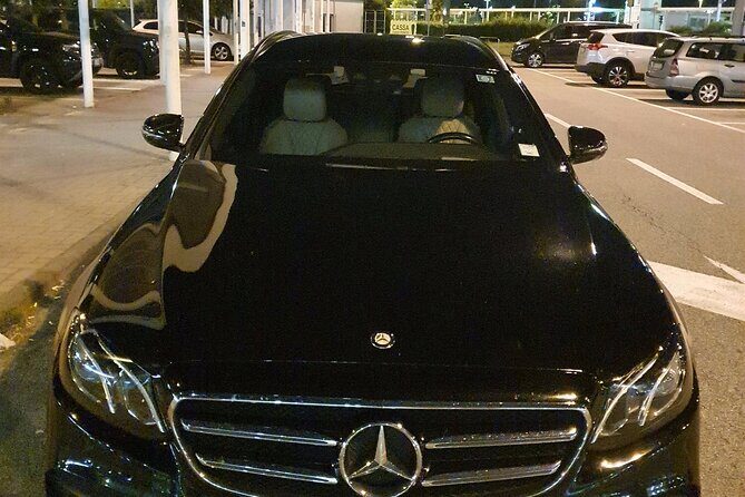 Amsterdam Cruise Port to Amsterdam hotels - Arrival Private Transfer - Who Will Love This Service?