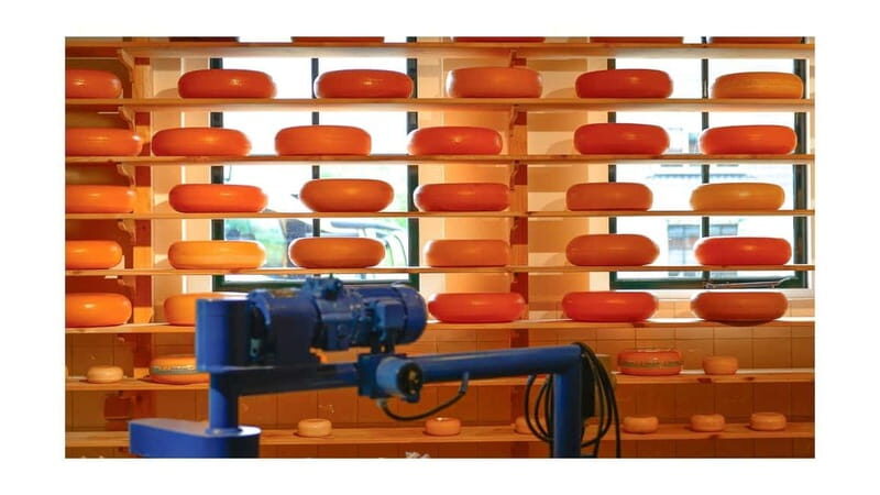 Amsterdam Day Tour: Zaanse Schans, Volendam & Marken - Introduction: Why This Tour Is a Great Choice for Cultural Sightseeing