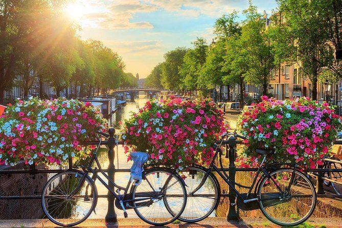 Amsterdam Day Trip from Brussels - Who Is This Tour Best Suited For?