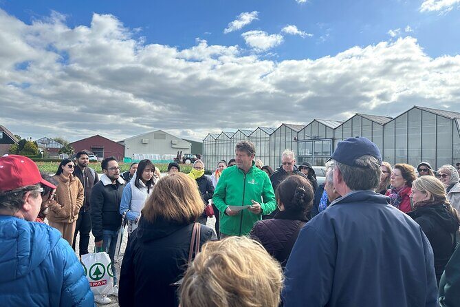 Amsterdam: Day trip to Tulip Farm, Keukenhof + Windmill Cruise - Authentic Reviews and Insights