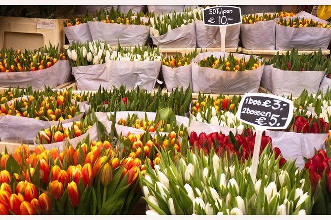 Amsterdam: E-Bike Sightseeing Tour - The Sum Up