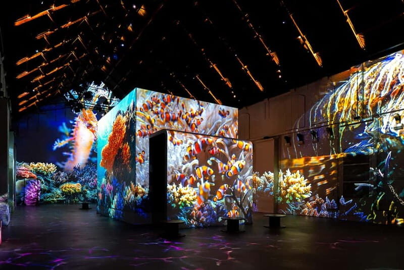 Amsterdam: Fabrique des Lumières The Sea Entry Ticket - A Deep Dive into the Experience