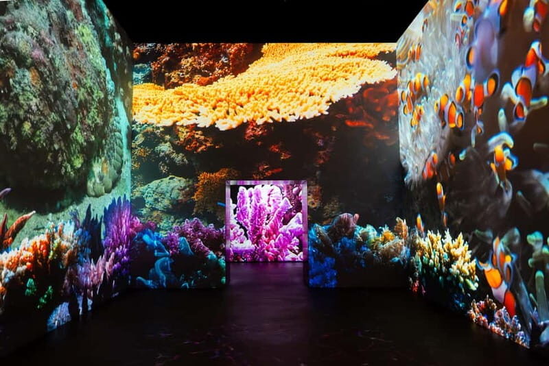 Amsterdam: Fabrique des Lumières The Sea Entry Ticket - Pricing & Value