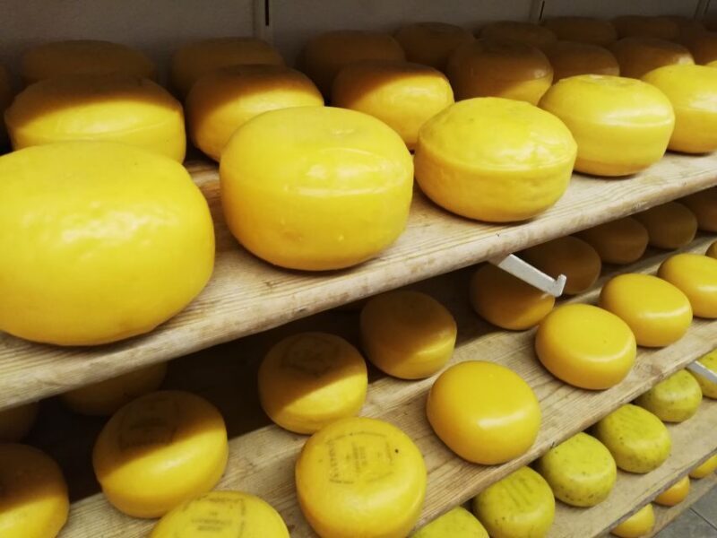 Amsterdam: Full-Day Countryside Tour - A Closer Look at the Full-Day Countryside Experience