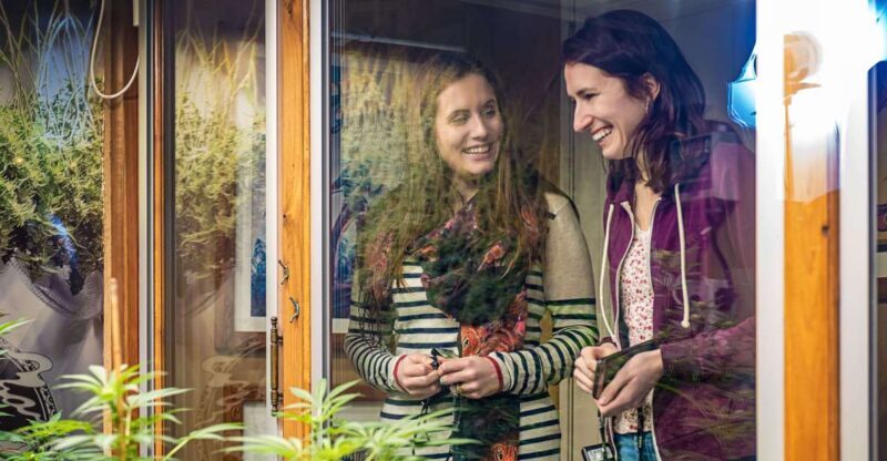 Amsterdam: Hash, Marihuana, and Hemp Museum Entry Ticket - What to Expect During Your Visit