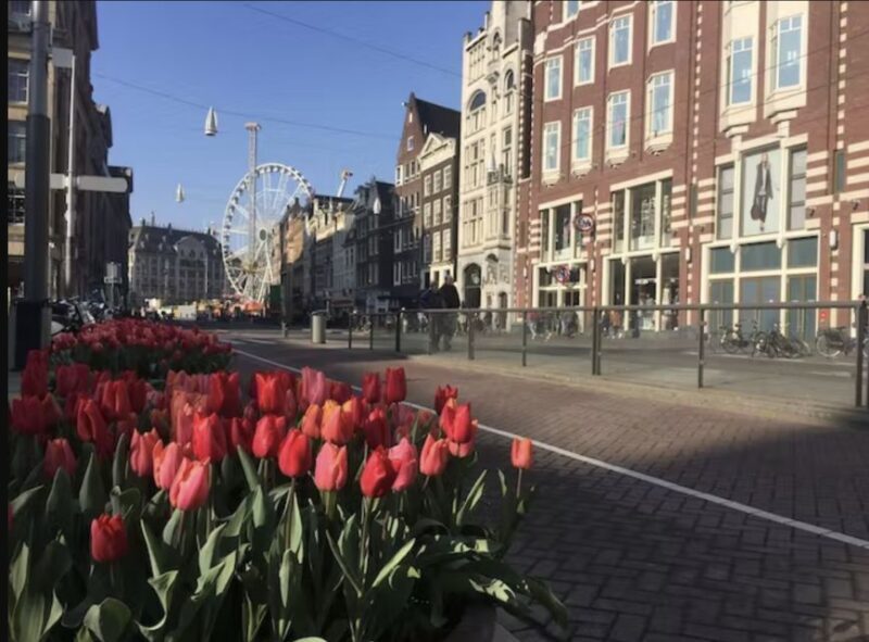 Amsterdam: History, Culture & Hidden Gems Walking Tour - Final Thoughts: Who Will Love This Tour?