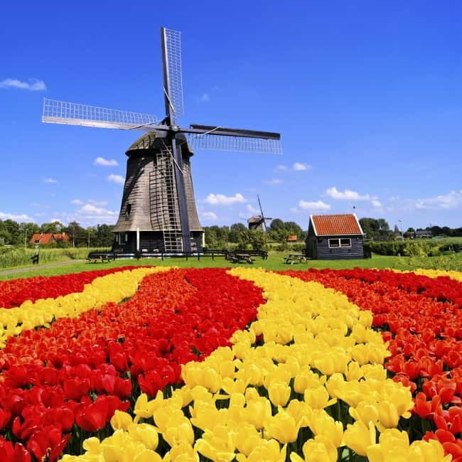 Amsterdam: Keukenhof and Tulip Fields Private Day Trip - An In-Depth Look at the Experience