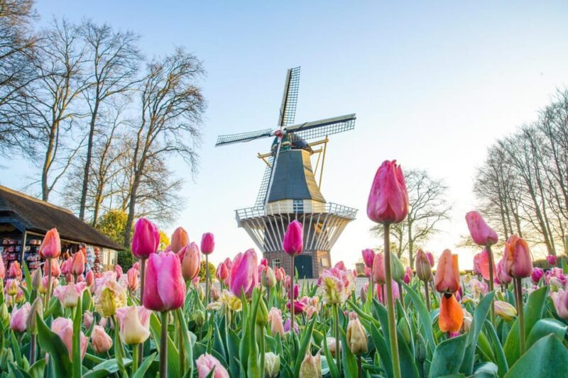 Amsterdam: Keukenhof and Zaanse Schans Live Guided Day Tour - A Deep Dive into the Tour Experience