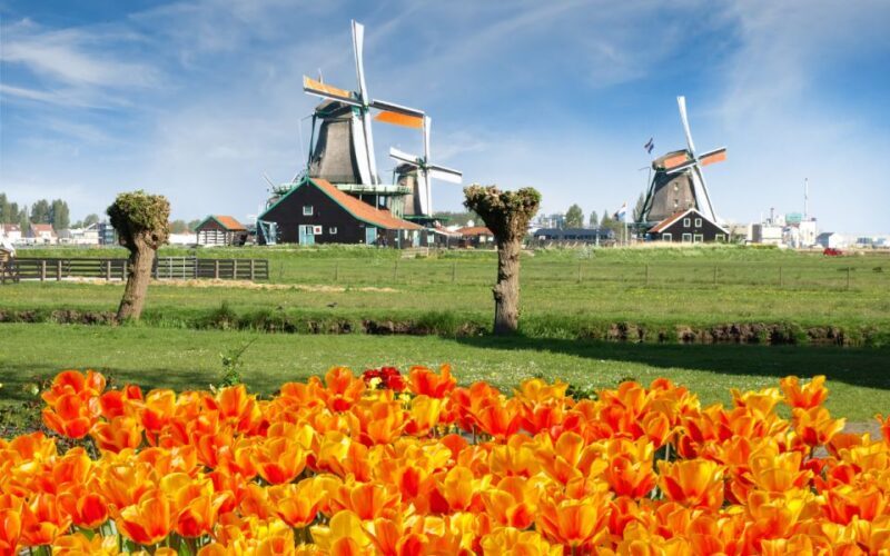 Amsterdam: Keukenhof and Zaanse Schans Windmills Day Trip - Transportation and Practicalities