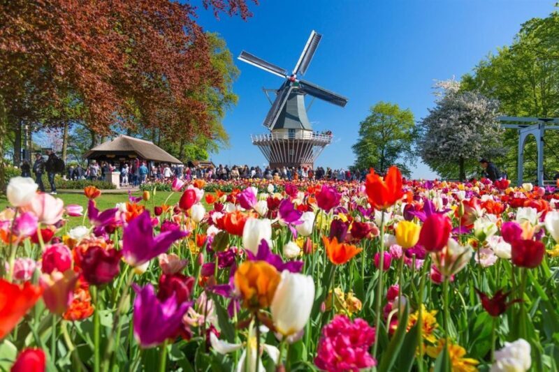 Amsterdam: Keukenhof and Zaanse Schans Windmills Day Trip - Pricing and Value