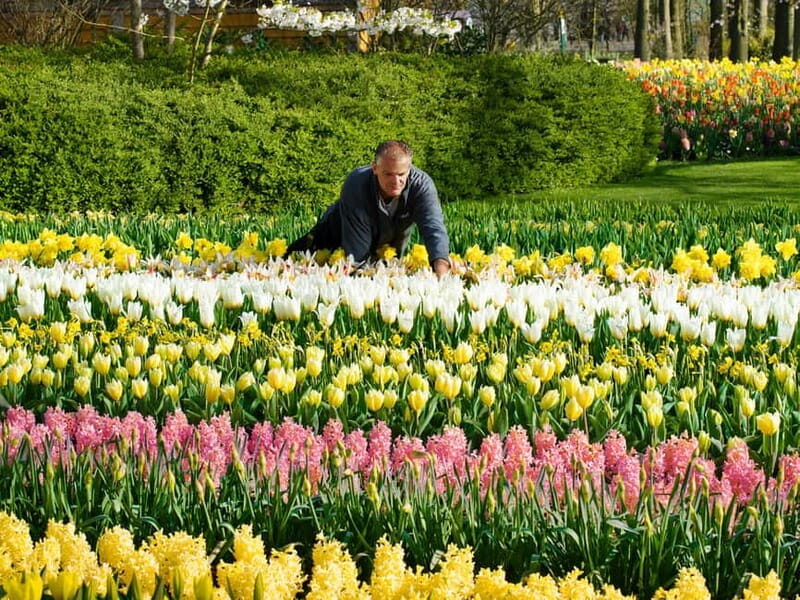 Amsterdam: Keukenhof Entry & Shuttlebus with Flexible Return - A Practical and Relaxed Way to Visit Keukenhof