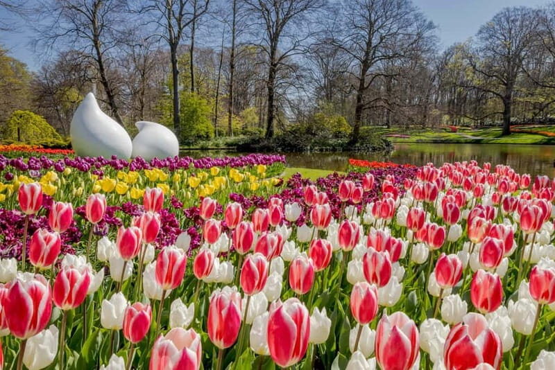 Amsterdam: Keukenhof Entry & Shuttlebus with Flexible Return - Cost-Effectiveness and Value