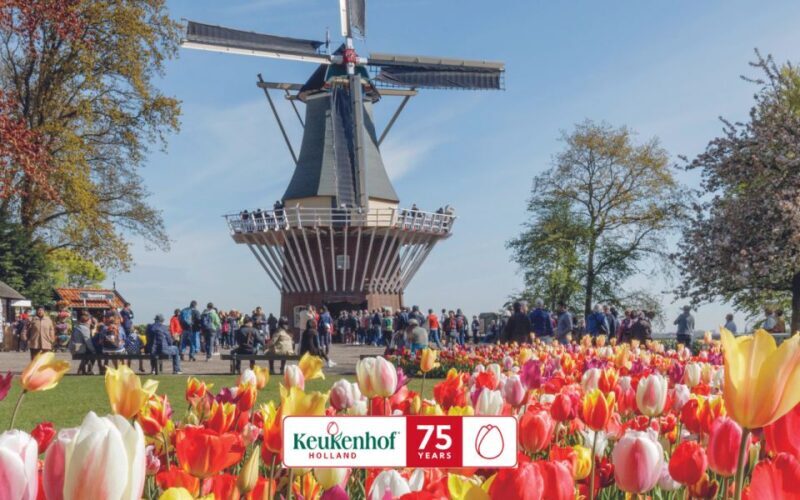 Amsterdam: Keukenhof Entry & Shuttlebus with Flexible Return - Tips for Making the Most of Your Visit