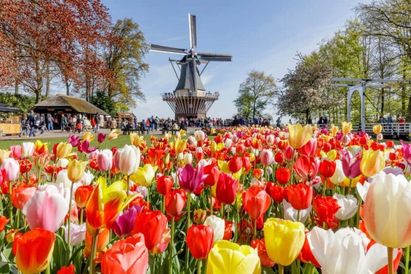 Amsterdam: Keukenhof Gardens Half Day Guided Tour - Key Points