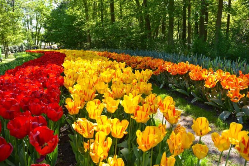 Amsterdam: Keukenhof Gardens Half Day Guided Tour - The Overall Logistics and Practical Tips
