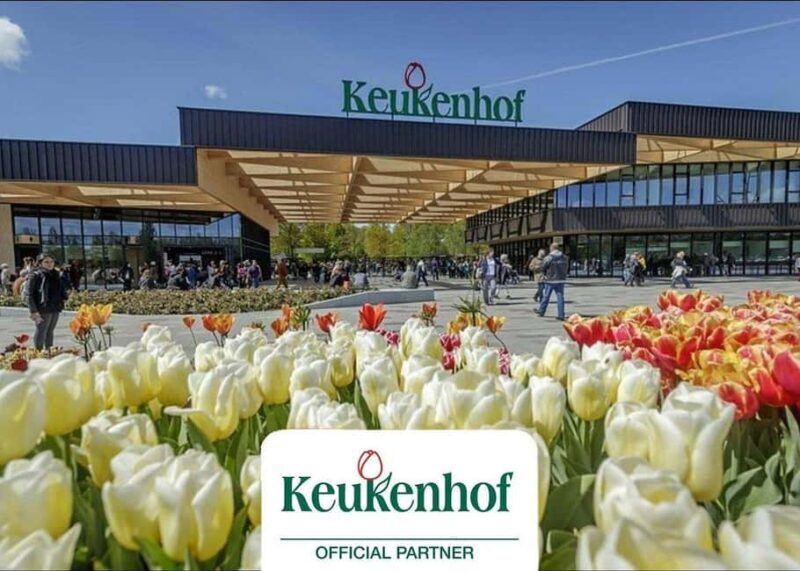 Amsterdam: Keukenhof Gardens & Tulip Fields Private Tour - Who Will Benefit Most from This Tour?