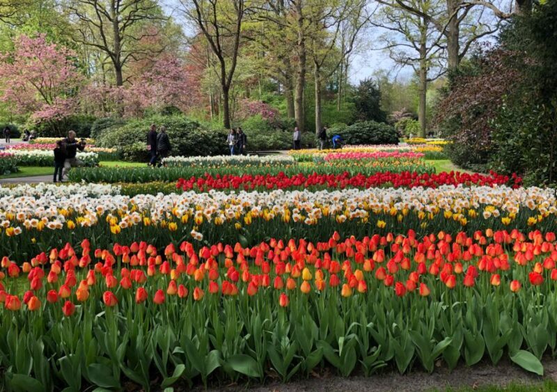 Amsterdam: Keukenhof Tulip Garden and Giethoorn Experience - Who Is This Tour Best For?