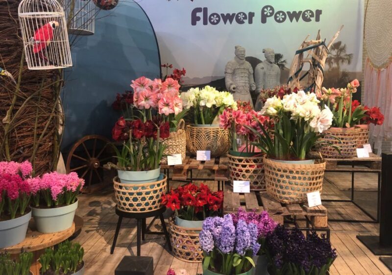 Amsterdam: Keukenhof Tulip Garden and Giethoorn Experience - FAQs