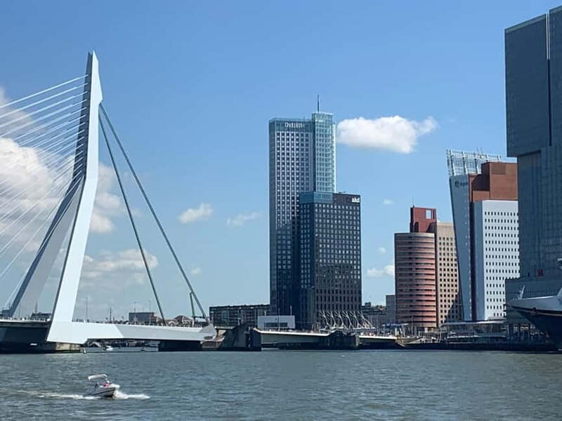 Amsterdam: Kinderdijk, Euromast, Delft and Den Haag Day Tour - Final Thoughts