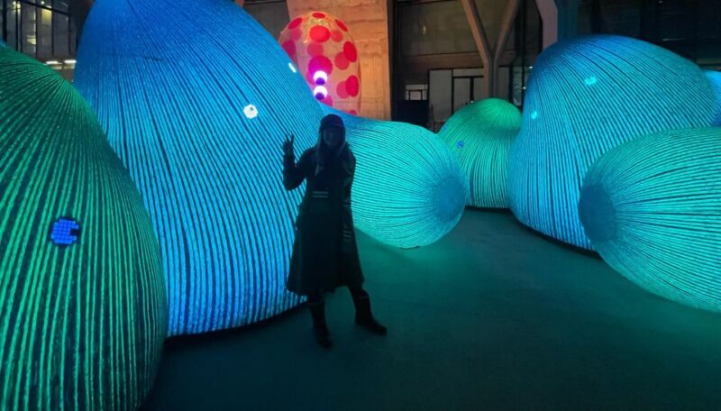 Amsterdam Light Festival Guided Bike Tour - Key Points