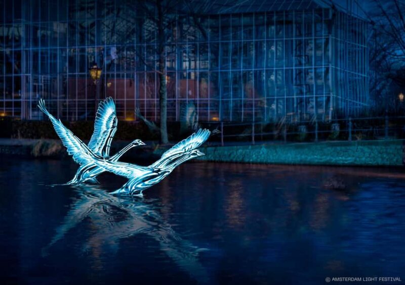 Amsterdam: Light Festival Open Boat Cruise - Who Should Consider This Tour?